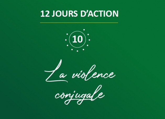 12 days of action fighting violence against women: domestic violence