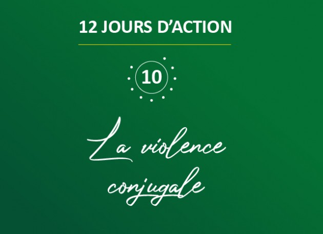 12 days of action fighting violence against women: domestic violence 12 days of action fighting violence against women: domestic violence