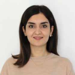 Shadi Rohani, Participant member